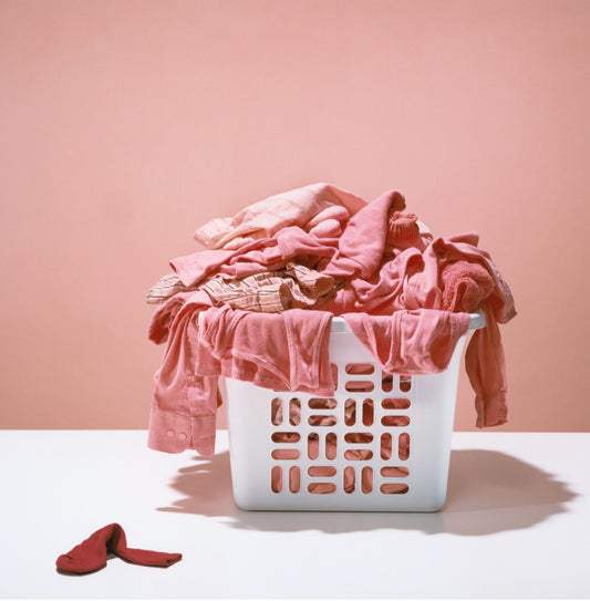 Same Day Wash-Dry-Fold (Delivery Service)